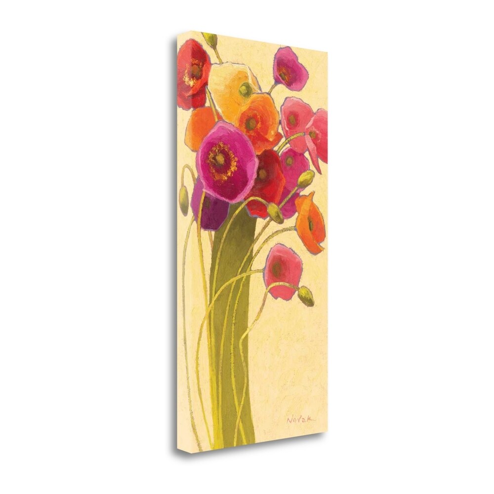 Amapola Barcelona II Wag by Shirley Novak - Premium Giclee Print on Gallery Wrapped Canvas - Perfect for Living Room, Bedroom & Office Wall Decor