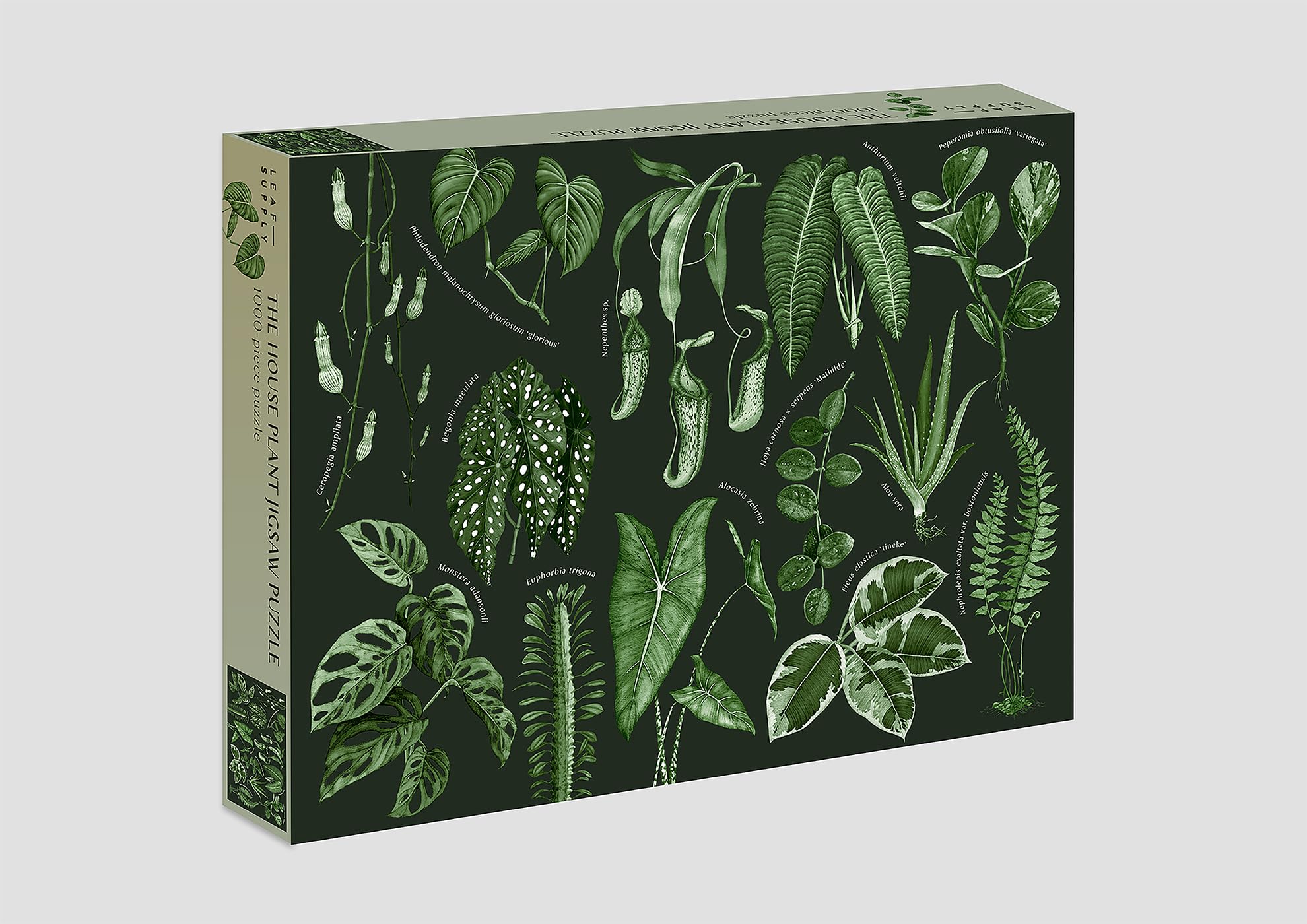 Smith Street Books 1000-Piece Jigsaw Puzzle - White (9781922417411) | Premium Quality Puzzle for Adults & Teens | Perfect for Relaxation, Family Game Nights & Home Decor