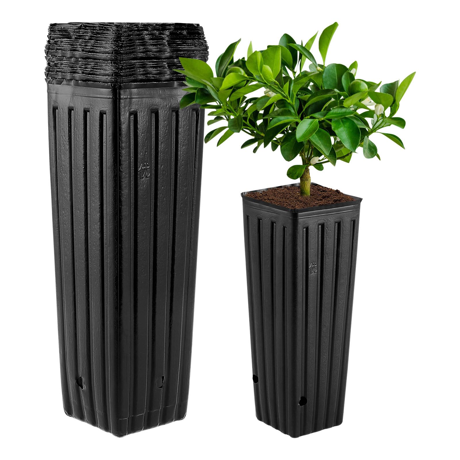 50Pcs Tall Plastic Planters Flower Pots - Deep Nursery Tree Pots & Reusable Grow Bags for Seedlings, Gardening, Indoor/Outdoor Plants | Ideal for Home Garden, Balcony Decor & Urban Farming