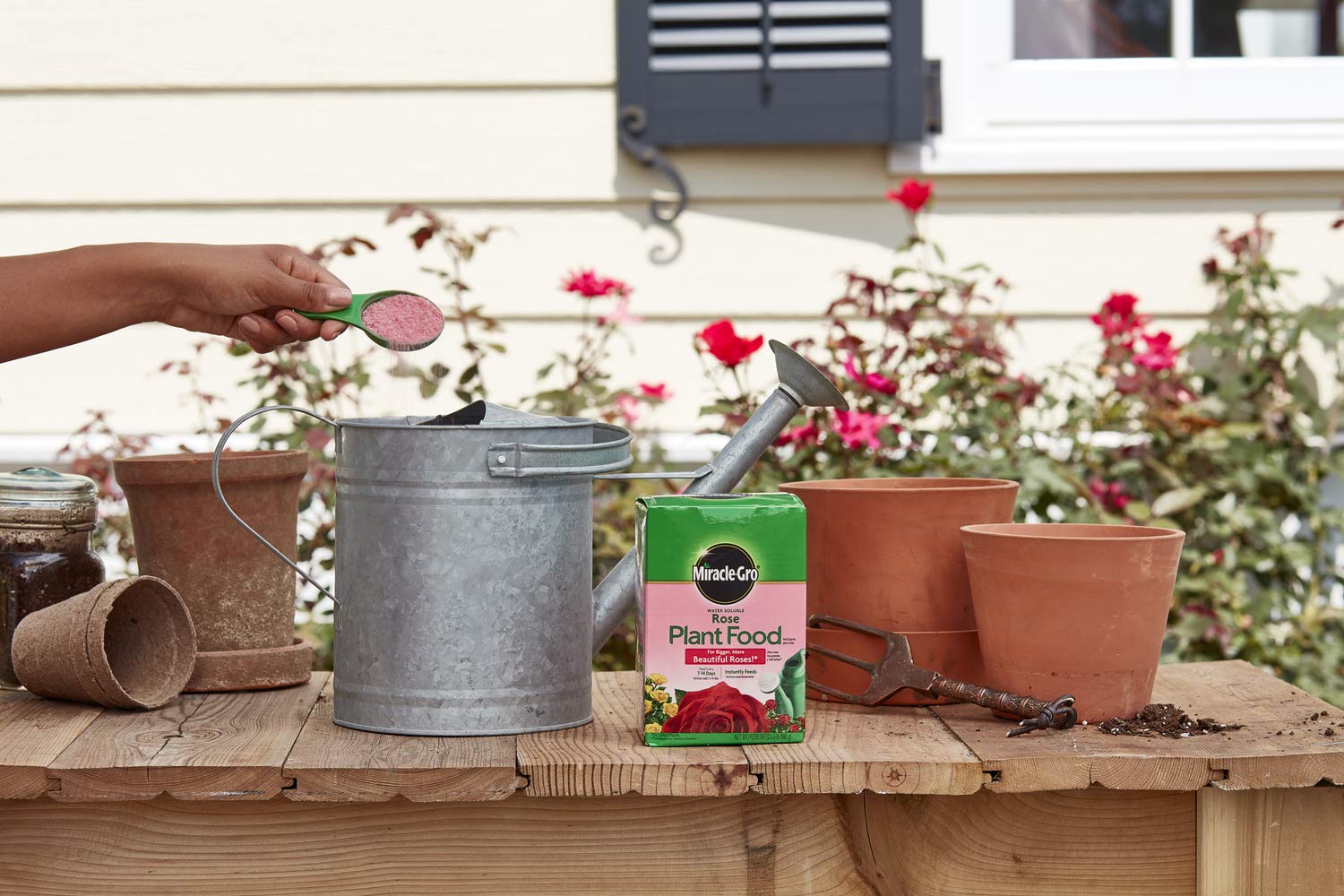 Miracle-Gro Rose Plant Food Fertilizer - 1.5 lb (6 Pack) for Healthy Roses - Perfect for Garden Roses, Potted Roses & Flower Beds