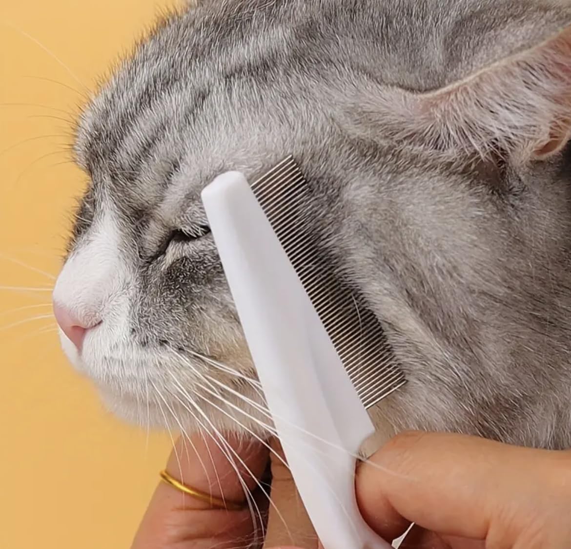 Stainless Steel Flea Comb for Cats, Dogs & Rabbits - Lice & Nit Removal Brush with Rounded Teeth - Gentle Pet Grooming Tool for Flea Control | Perfect for Home Pet Care & Veterinary Use