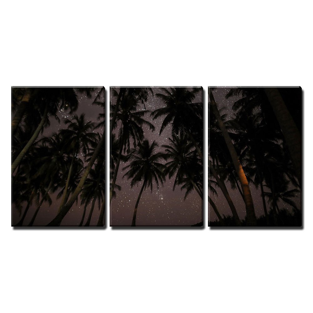 Wall26 - 3 Piece Canvas Wall Art Set - Tropical Palm Trees Under Starry Night Sky - Modern Home Decor Stretched and Framed Ready to Hang - 16