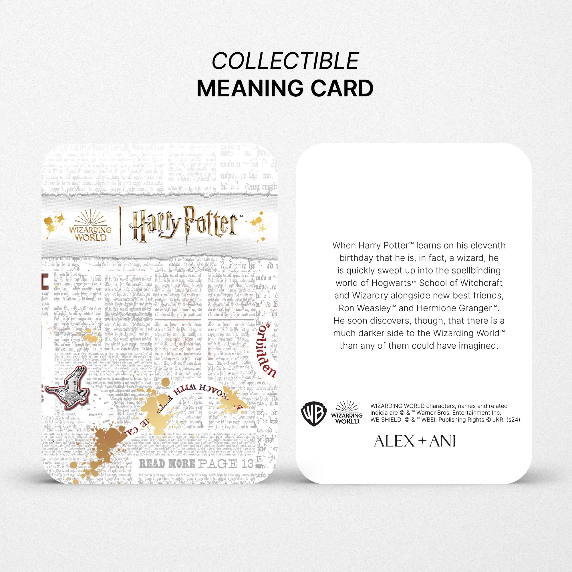 Harry Potter™ Golden Snitch Bracelet - Official Wizarding World Jewelry for Women & Men - Perfect for Cosplay, Halloween Costume & Potterhead Gifts