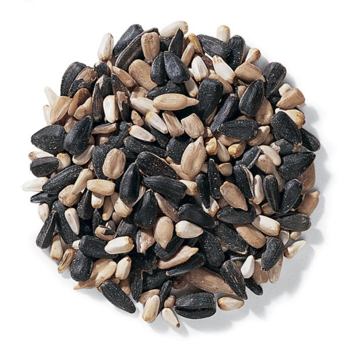Duncraft Cardinal Delight Wild Bird Seed - Premium 5lb Bag for Cardinals & Songbirds | Backyard Bird Feeding & Wildlife Attraction