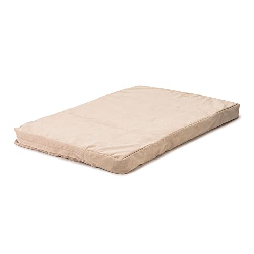 Buckskin