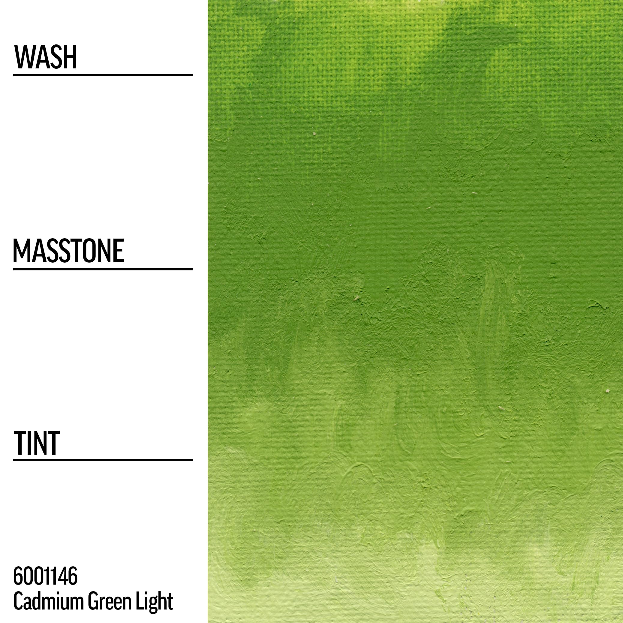 GOLDEN Williamsburg Artist Oil Paint - Cadmium Green Light (150ml Tube) | Professional Grade, Opaque Oil Colors for Canvas Painting & Fine Art