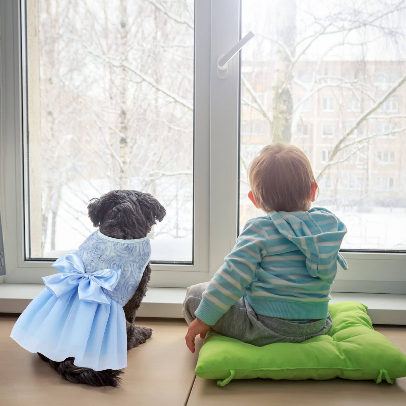 ASENKU Dog Dress - Pet Wedding Dress, Princess Lace Puppy Birthday Party Outfit, Formal Apparel for Small & Medium Dogs & Cats (XX-Small, Blue) - Perfect for Weddings, Birthday Parties & Special Occasions