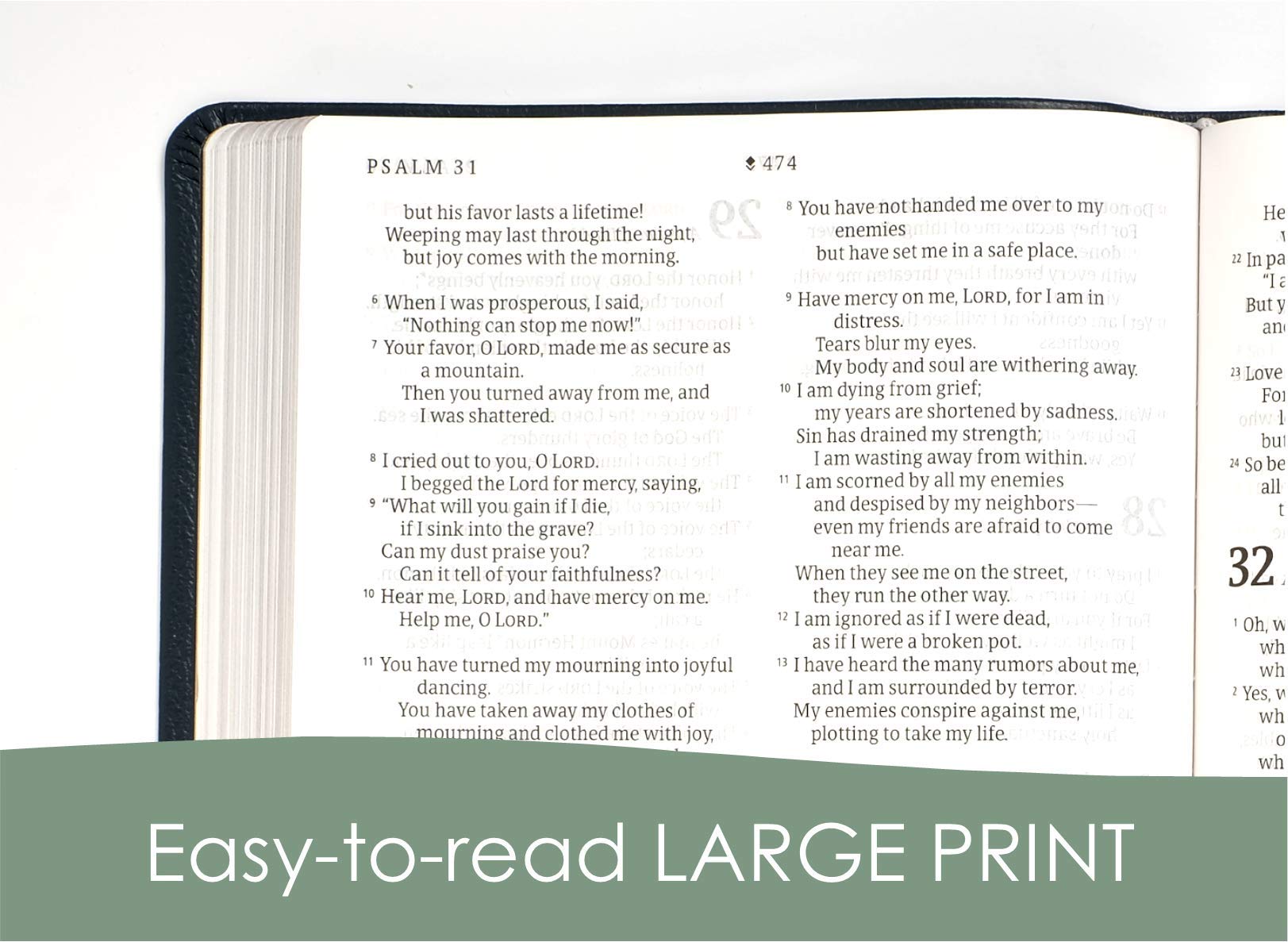 Large Print Thinline Bible - Genuine Leather Navy Blue for Devotion & Study