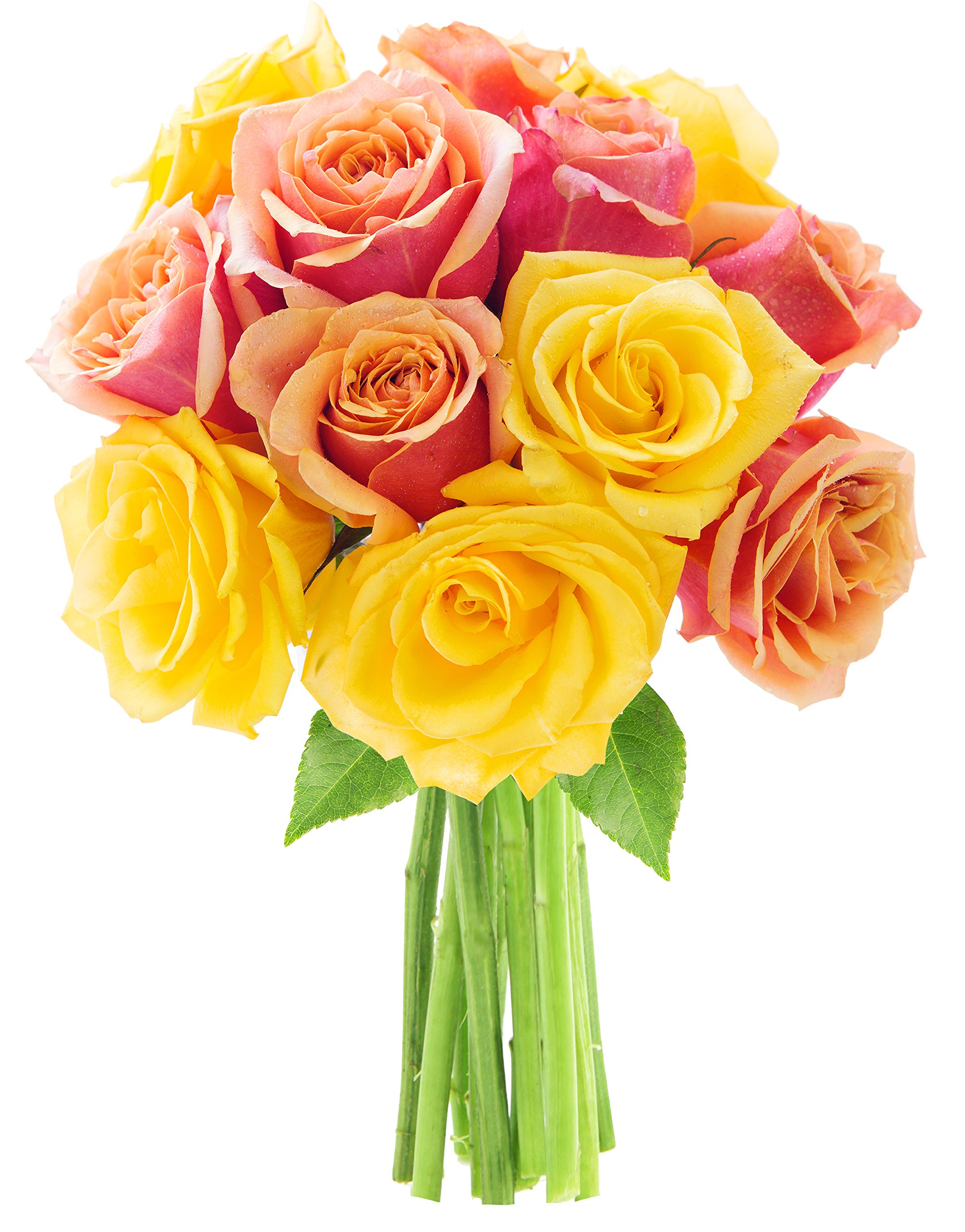 KaBloom Fresh Honey Orange & Yellow Roses Bouquet - Dozen Long Stem Flowers for Mother’s Day, Birthday, Valentine’s Gift | Next Day Delivery | Perfect for Home Decor, Wedding Centerpieces & Anniversary Celebrations