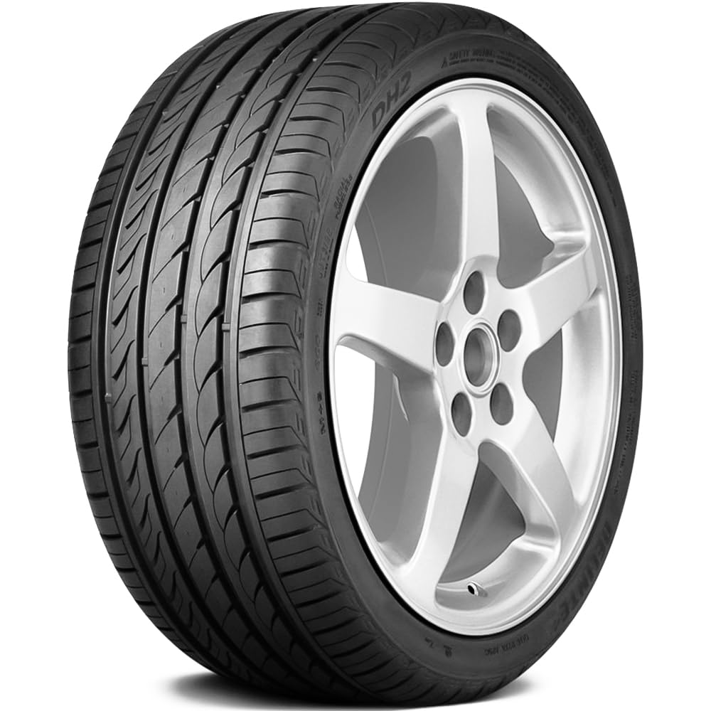 Delinte DH2 Touring Radial Tire - 225/65R16 100H All-Season High Performance Car Tires for Smooth Ride & Long Mileage | Perfect for SUVs, Sedans, and Highway Driving