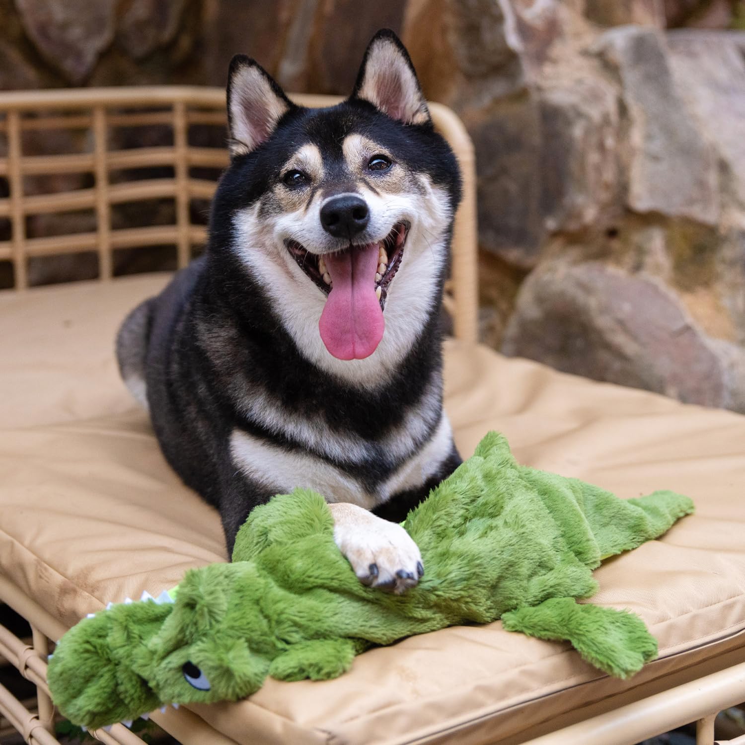 2-in-1 Squeaky Dog Toy for All Sizes - Soft No-Stuffing Chew Toy for Indoor Play with Bottle Holder (Alligator, Large) - Perfect for Teething & Playtime