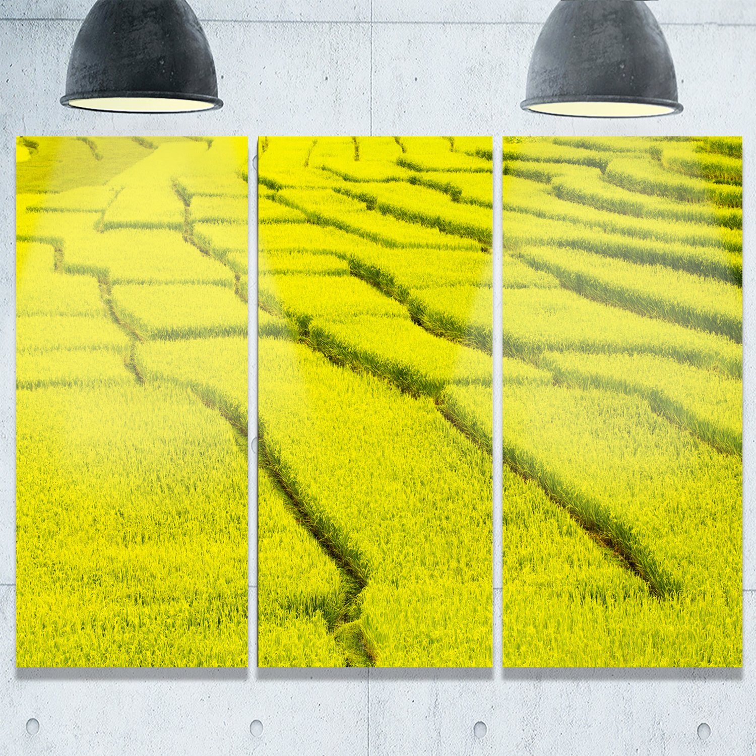 Designart MT8771-3P Rice Field Landscape Photography Metal Wall Art - 3 Panel Set (28x36 Inches, Green) - Modern Home & Office Decor for Living Room, Bedroom, Dining Area