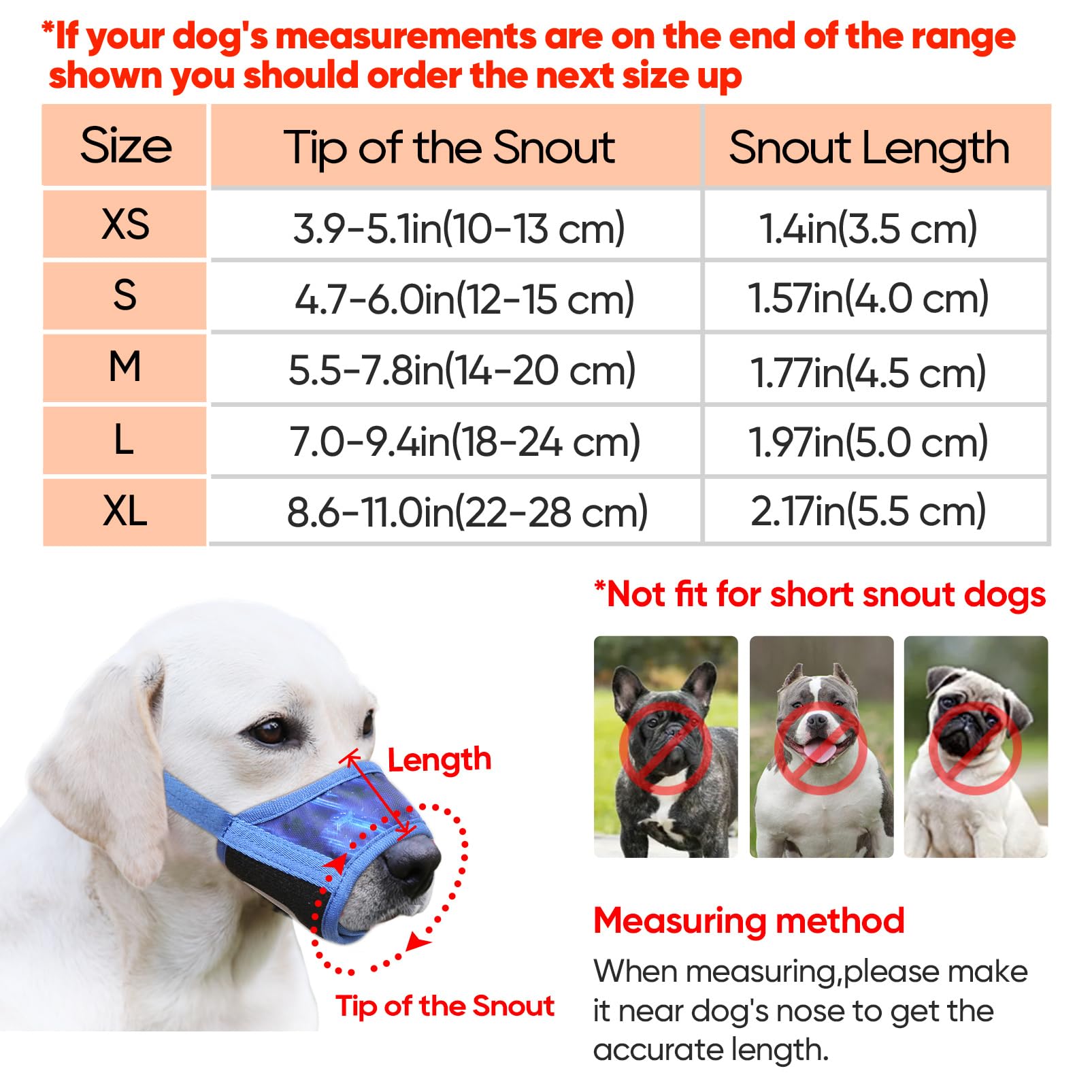 HEELE Soft Nylon Dog Muzzle for Small Medium Large Dogs - Breathable Adjustable Pet Muzzle to Prevent Biting Barking Chewing - Sky Blue Small Size - Perfect for Training, Grooming, and Vet Visits