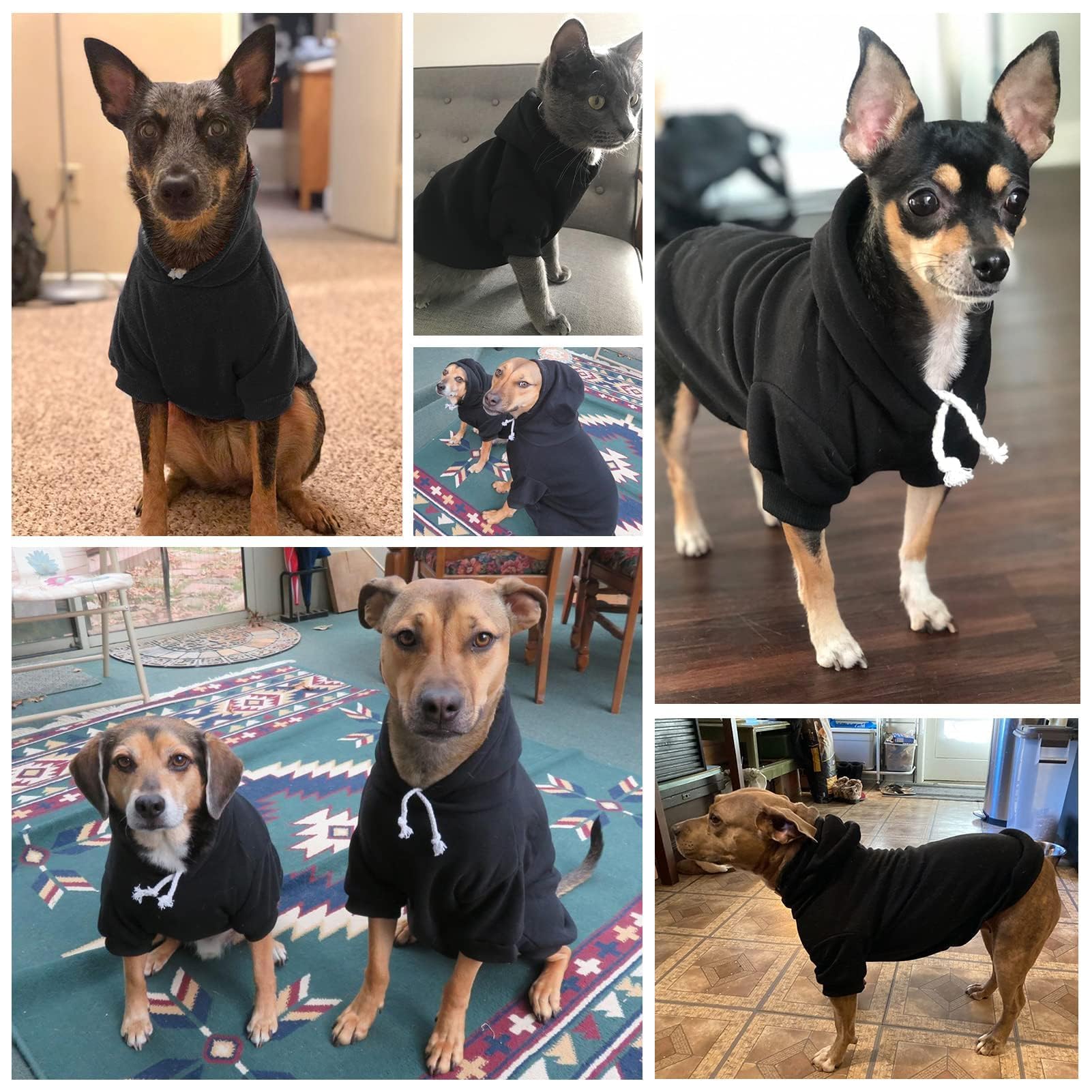 BINGPET Fleece-Lined Dog Hoodies - Soft & Warm Winter Sweater for Small, Medium, Large Dogs & Cats | Cozy Fall & Winter Apparel for Outdoor Walks & Indoor Comfort