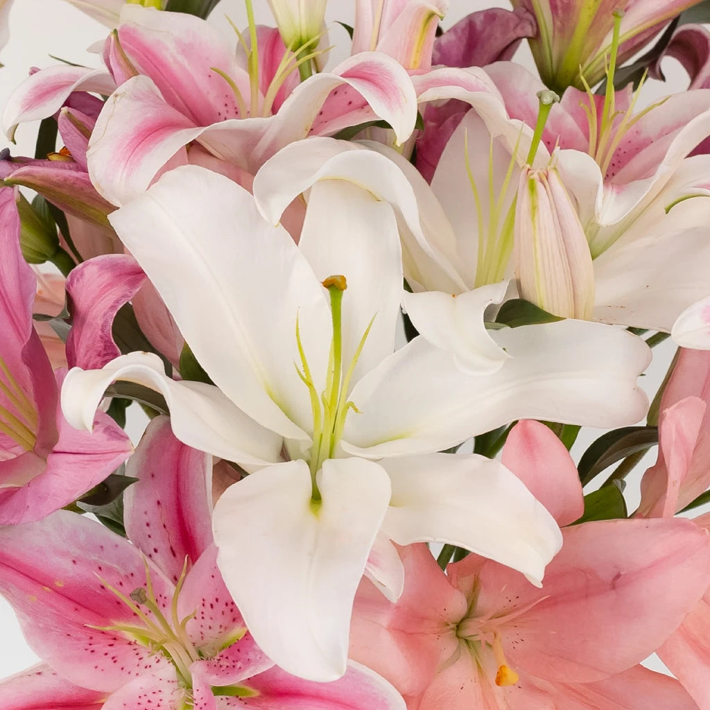 Fresh Pink Oriental Lilies Bouquet - Elegant Floral Arrangement for Weddings, Home Decor & Gifts