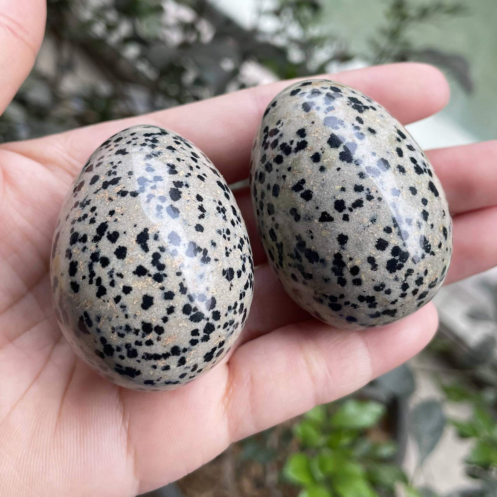 Polished Dalmation Jasper Egg - 1.8