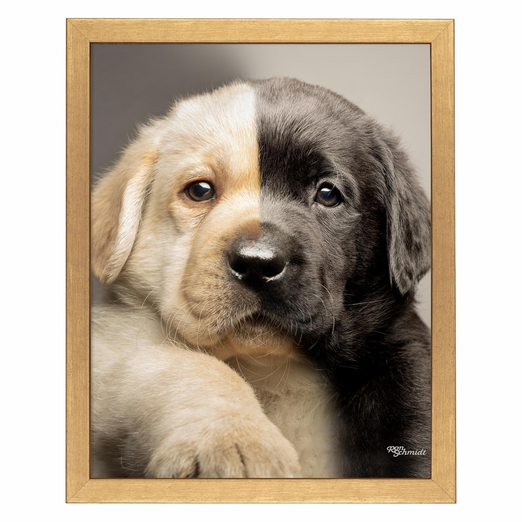 Black and Yellow Puppy Art Prints - High Quality Dog Wall Decor for Living Room, Bedroom & Nursery - Perfect Gift for Pet Lovers