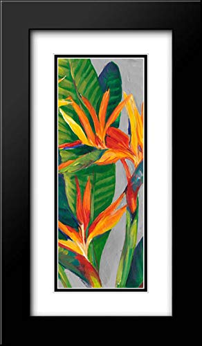 Otoole Tim 14x24 Black Modern Framed Double Matted Museum Art Print - Bird of Paradise Triptych II Wall Decor - Perfect for Living Room, Bedroom & Office