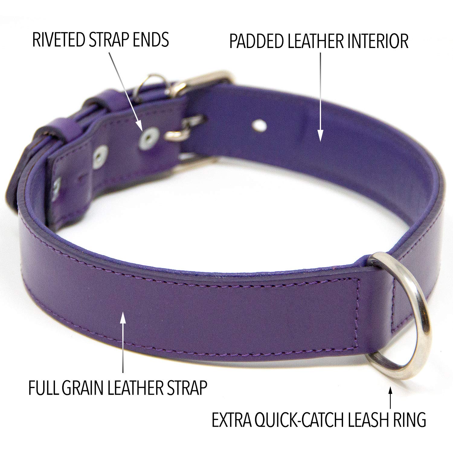 Premium Full Grain Padded Genuine Leather Dog Collar for Large Dogs - Adjustable & Durable Purple Pet Collar for Training, Walking & Outdoor Adventures