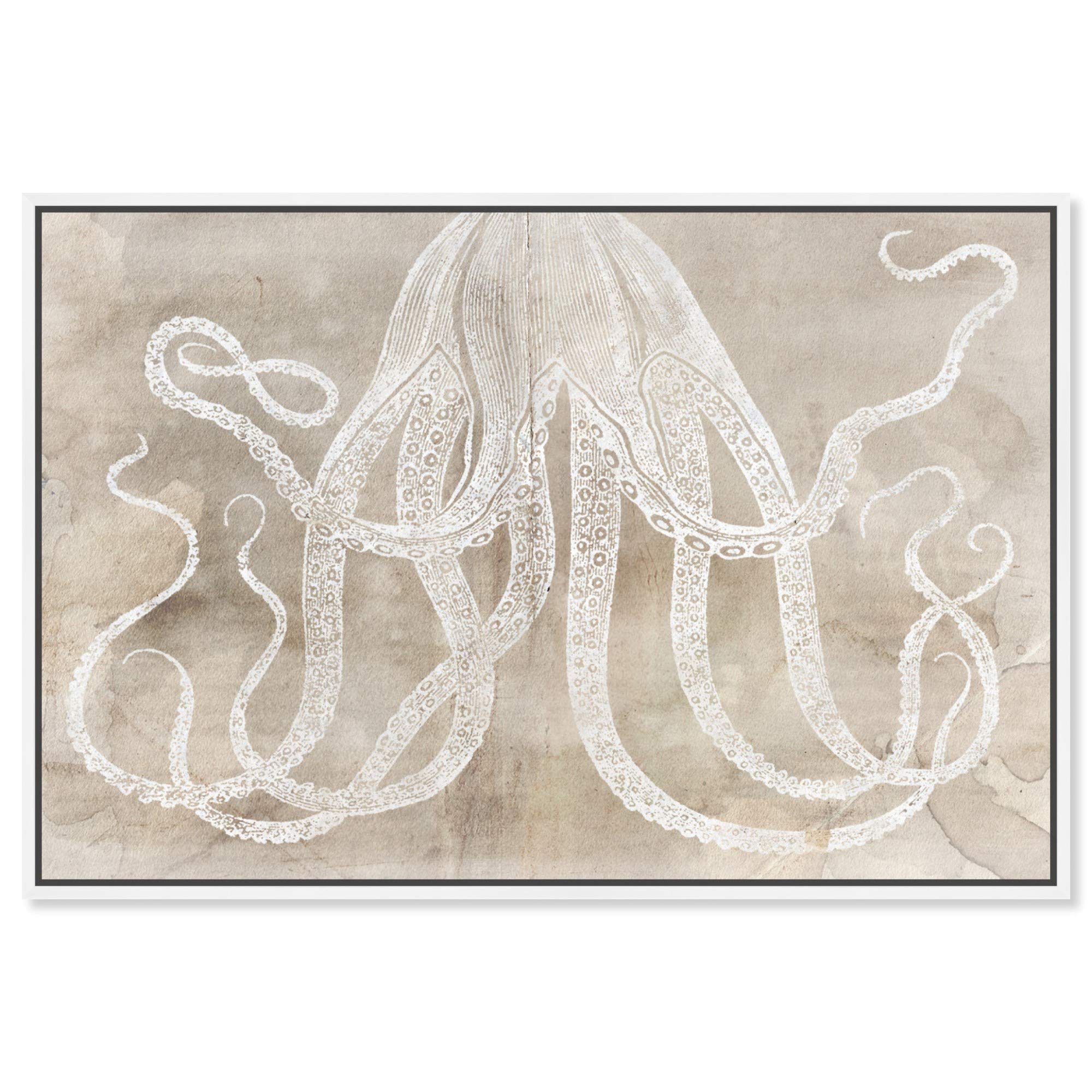 Oliver Gal Artist Co. Octopus Paper Framed Wall Art - 15x10 Inch Nautical Coastal Canvas Print - Brown & White Marine Life Home Decor for Living Room, Bedroom & Office