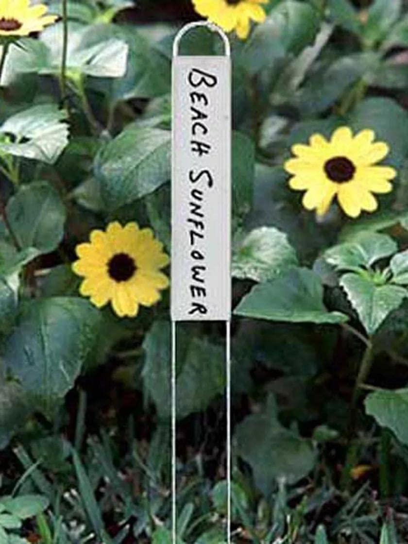 Vertical Garden Plant Markers Set of 25 - Durable Rustproof Galvanized Steel Plant Labels for Herb Garden, Vegetable Patch & Flower Beds - Slim Attractive Nameplates by Gardener's Supply Company