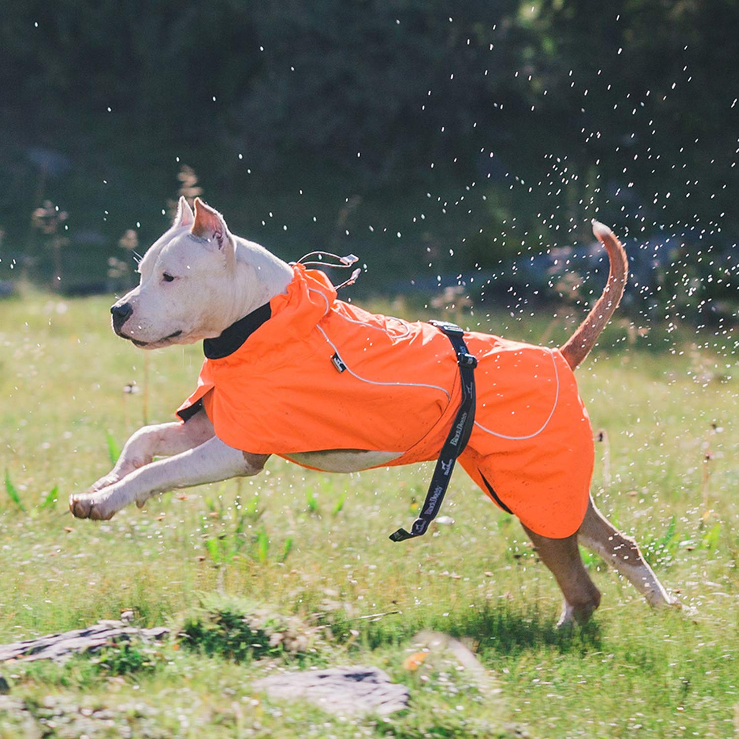 Waterproof Warm Dog Coat Small - Adjustable Cozy Vest for Outdoor Sports (Orange, XL)