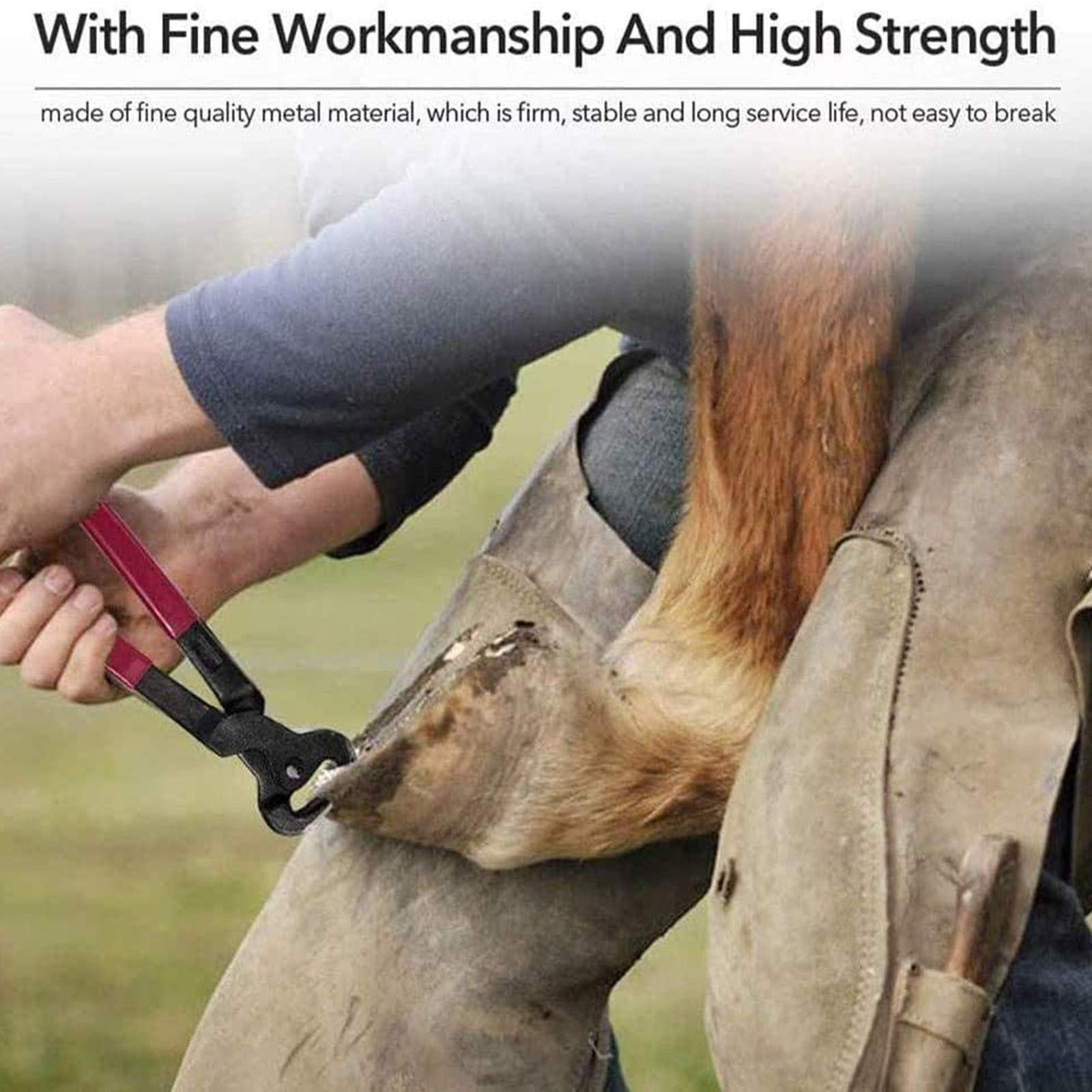 Professional Hoof Knife & Nipper Set for Horses - Farrier Tool with Extra Blade for Hoof Trimming, Shoeing & Equine Care | Ideal for Professional Farriers & Horse Owners