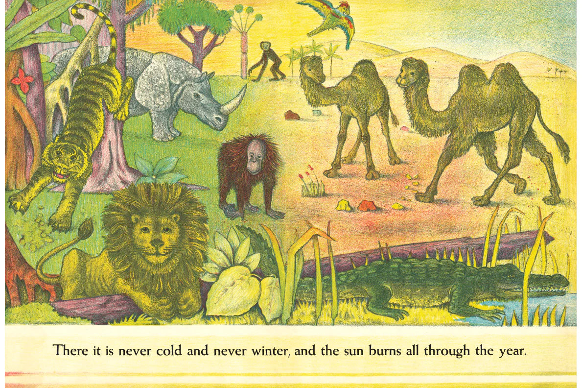 D'Aulaires' Book of Animals - Classic Illustrated Wildlife Encyclopedia for Kids | Perfect for Homeschooling, Bedtime Stories & Nature Learning