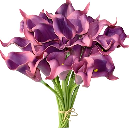 Bright Purple