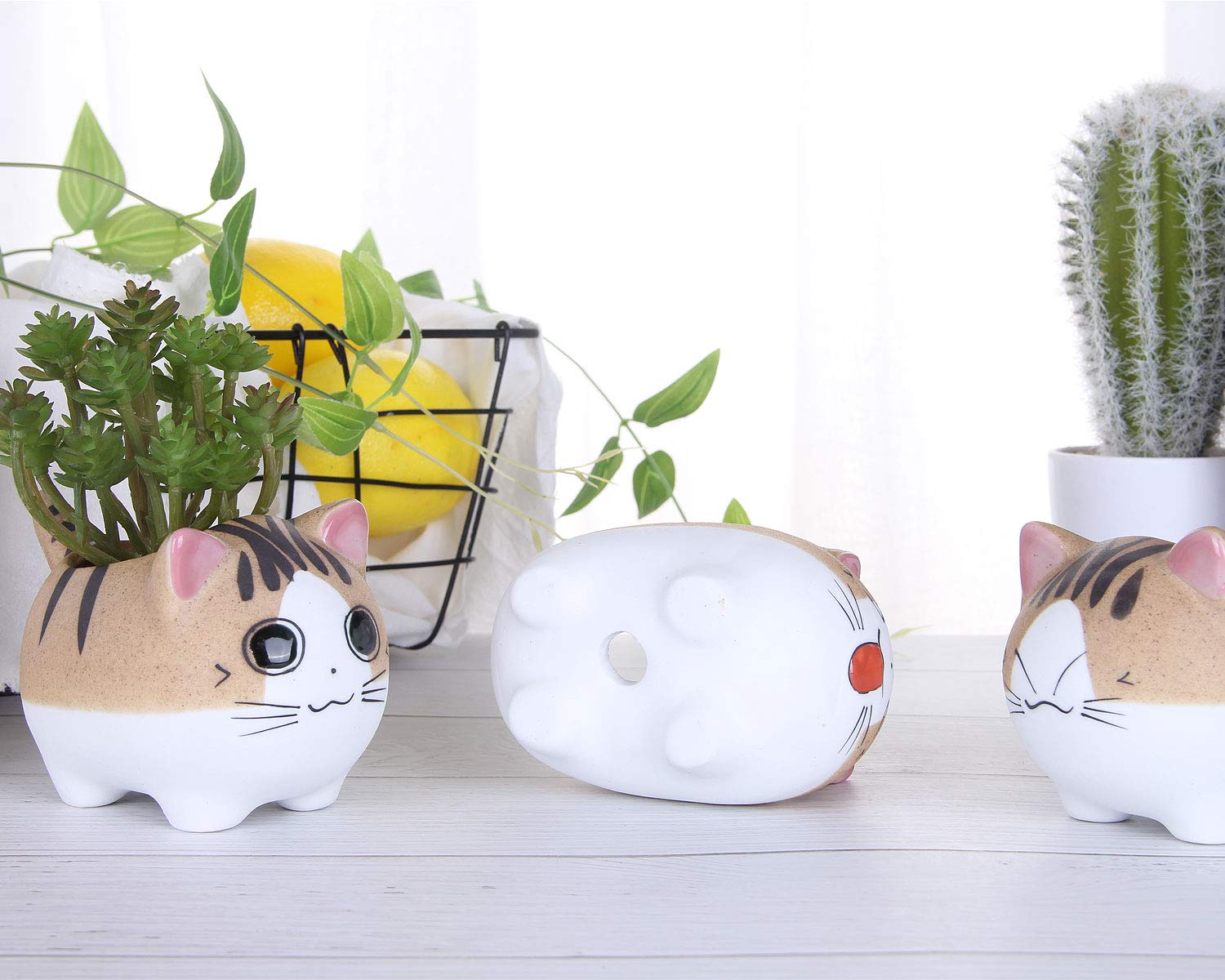 VanEnjoy 4.7 Inch Large Cat Succulent Pots with Drainage Hole - Handmade Ceramic Flower Planters, Cute Cat Lover Gifts for Home, Office Desk Decor & Indoor Gardening