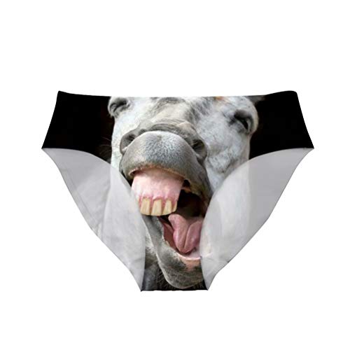 Horse-2