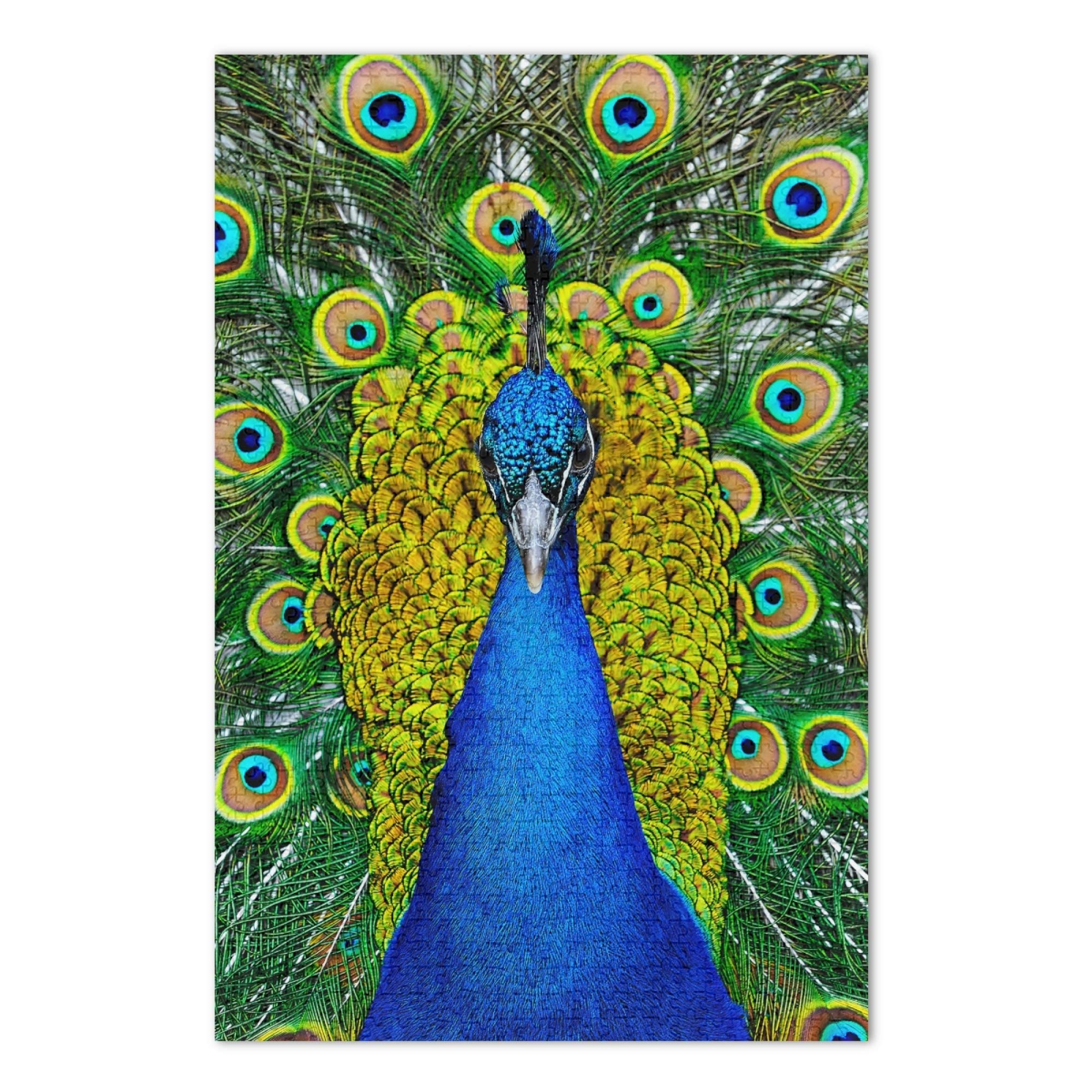 Oreayn 500-Piece Peacock Feather Jigsaw Puzzle for Adults & Kids - Elegant Modern Design, Fun Challenge Game - Perfect for Family Game Night & Stress Relief