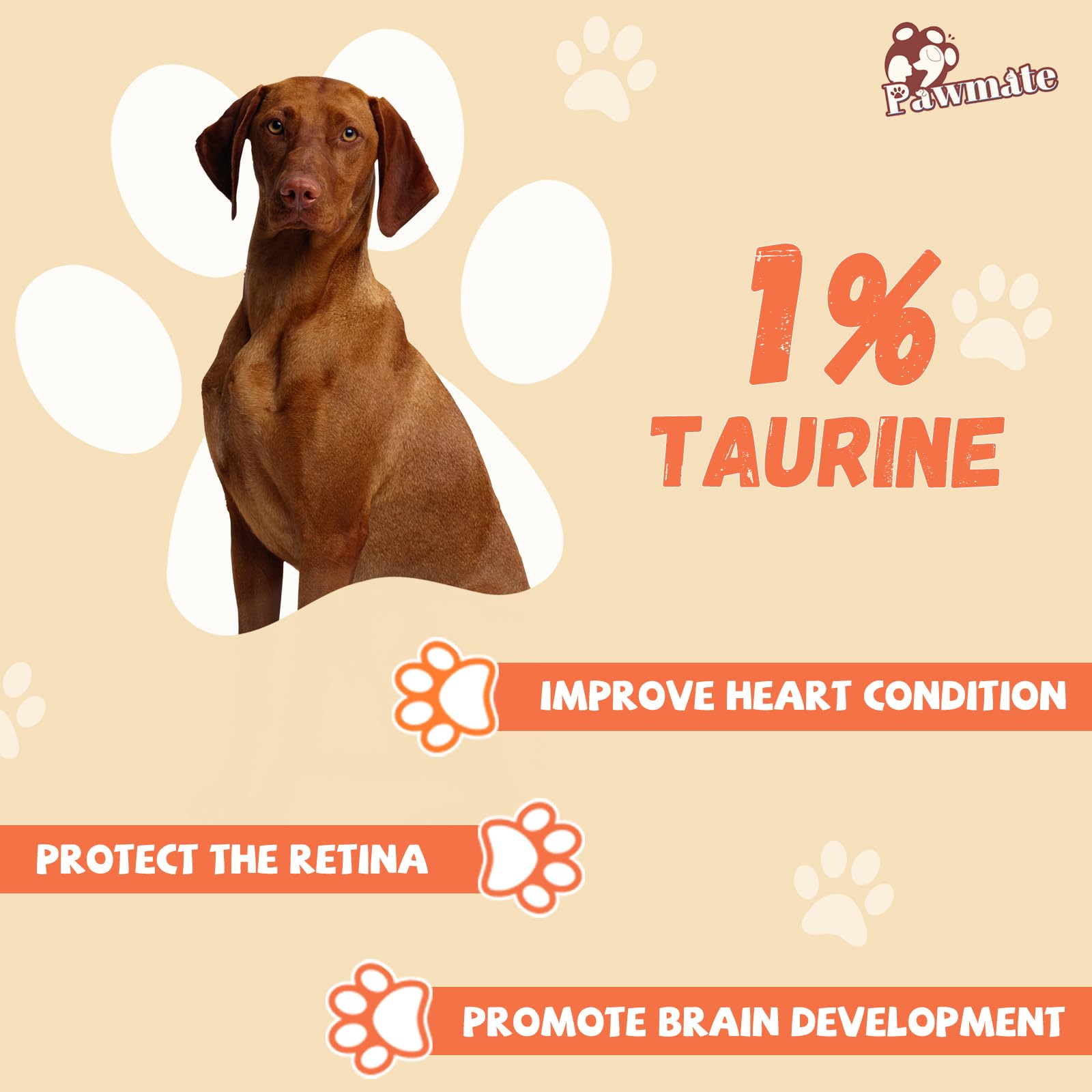 Large Dog Chew Bones - Rawhide with Taurine for Teeth Cleaning | 5-Pack for Medium/Large Breeds | Long-Lasting Dental Treats