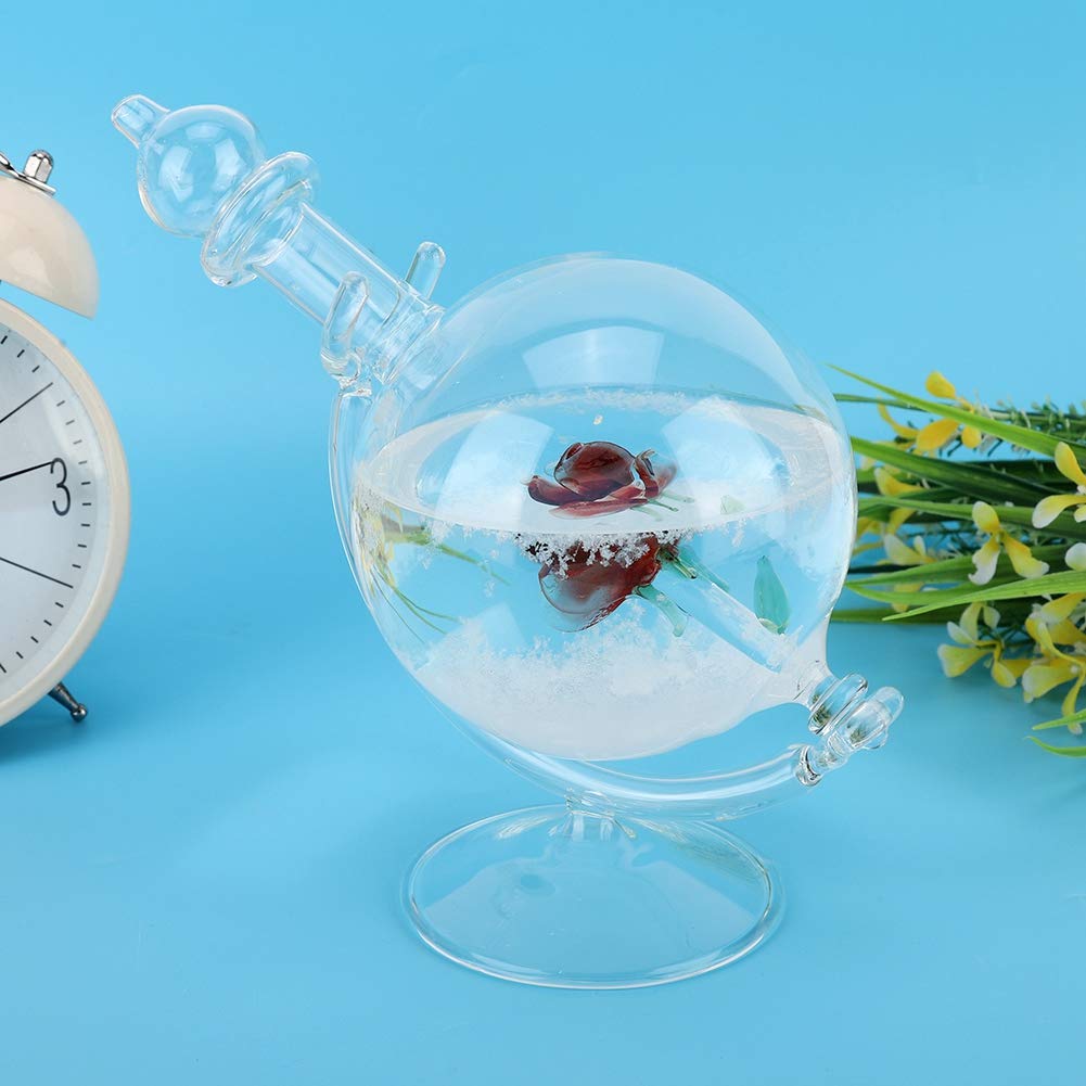 AUNMAS Storm Glass Weather Predictor - Crystal Globe with Water Shape for Home & Office Decor - Perfect for Weather Enthusiasts, Unique Gift & Feng Shui Decor