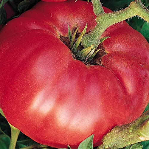 German Johnson Heirloom