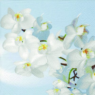 Orchidea Blanca Floral Watercolor Lunch Napkins - 20 Pack Disposable Elegant Dinner Napkins for Parties, Weddings & Special Events