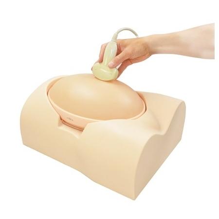 Fetal Ultrasound Training Phantom - High-Quality SPACE FAN ST Model for Medical Education & Diagnostic Practice | Perfect for OB/GYN Simulation & Sonography Training