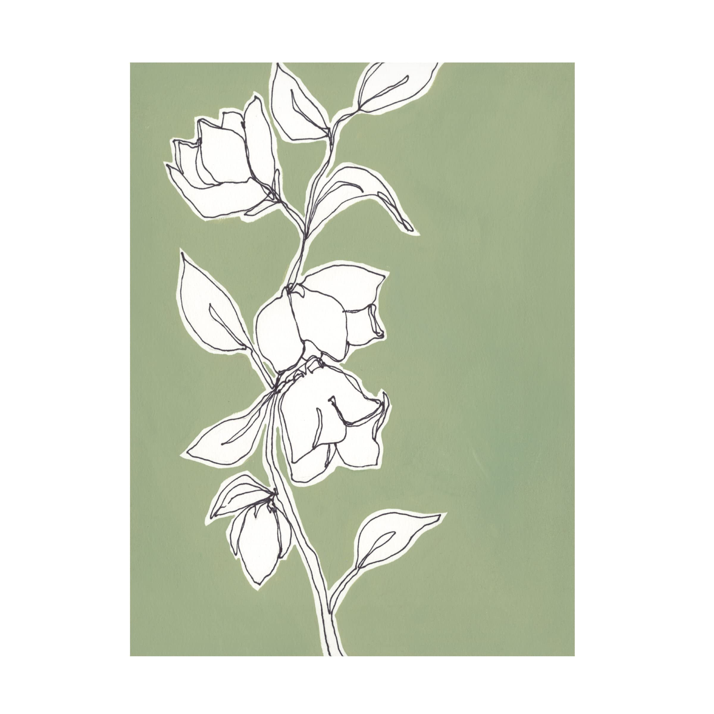 Trademark Fine Art 'Botanic Drawing II' Canvas Wall Art by Regina Moore - Botanical Home Decor for Living Room, Bedroom & Office