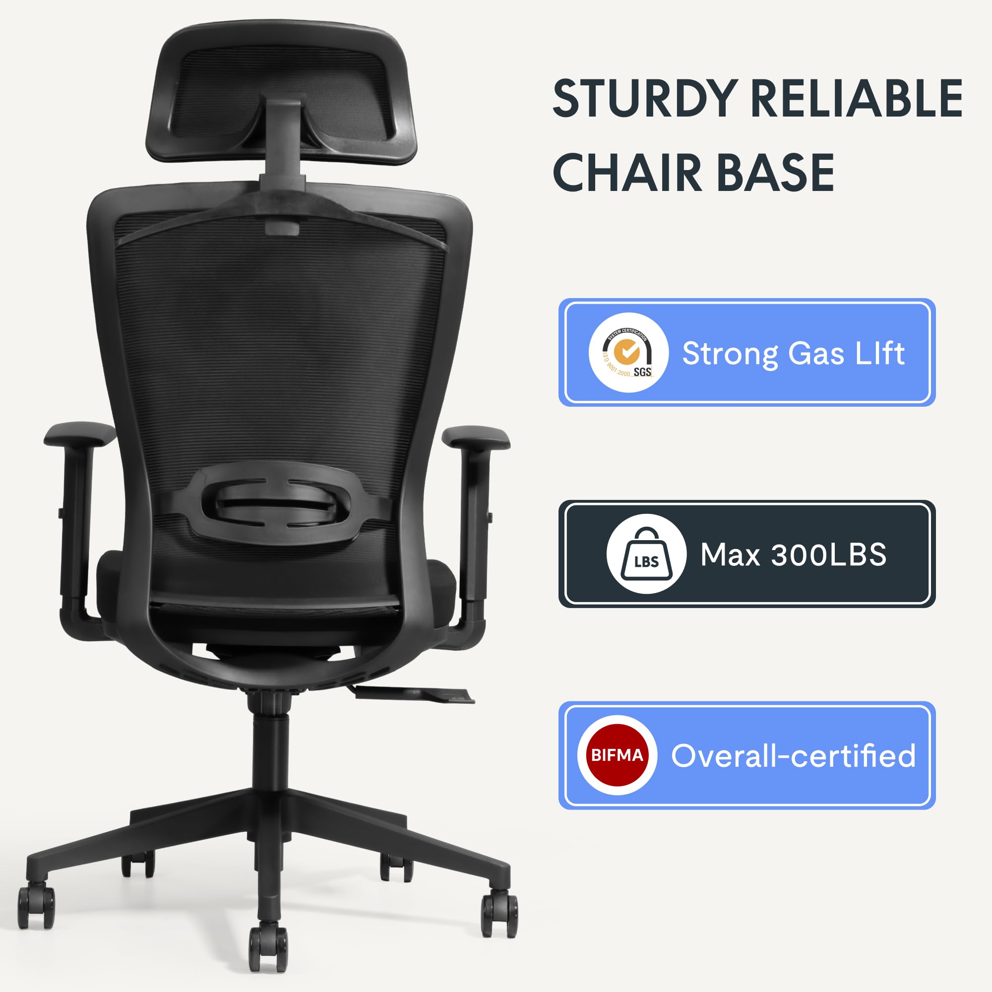 FLEXISPOT Ergonomic Office Chair with Lumbar Support - Comfortable Computer Desk Chair with Thick Seat Cushion - Big & Tall Adjustable Chair for Home Office, Study, or Bedroom (Black) - Ideal for Long Work Hours and Gaming Sessions