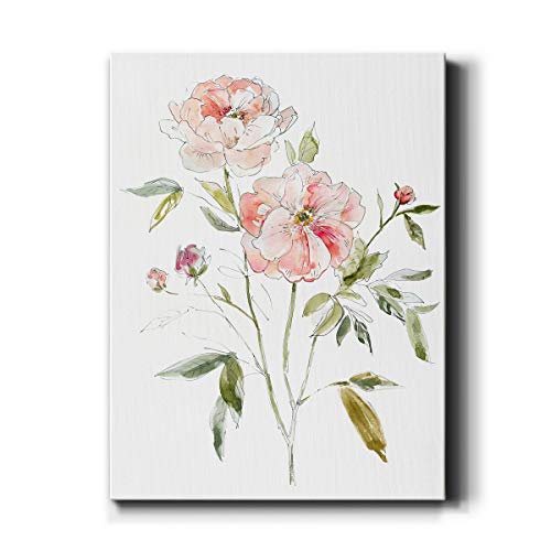 Sketchbook Cottage Rose (1)