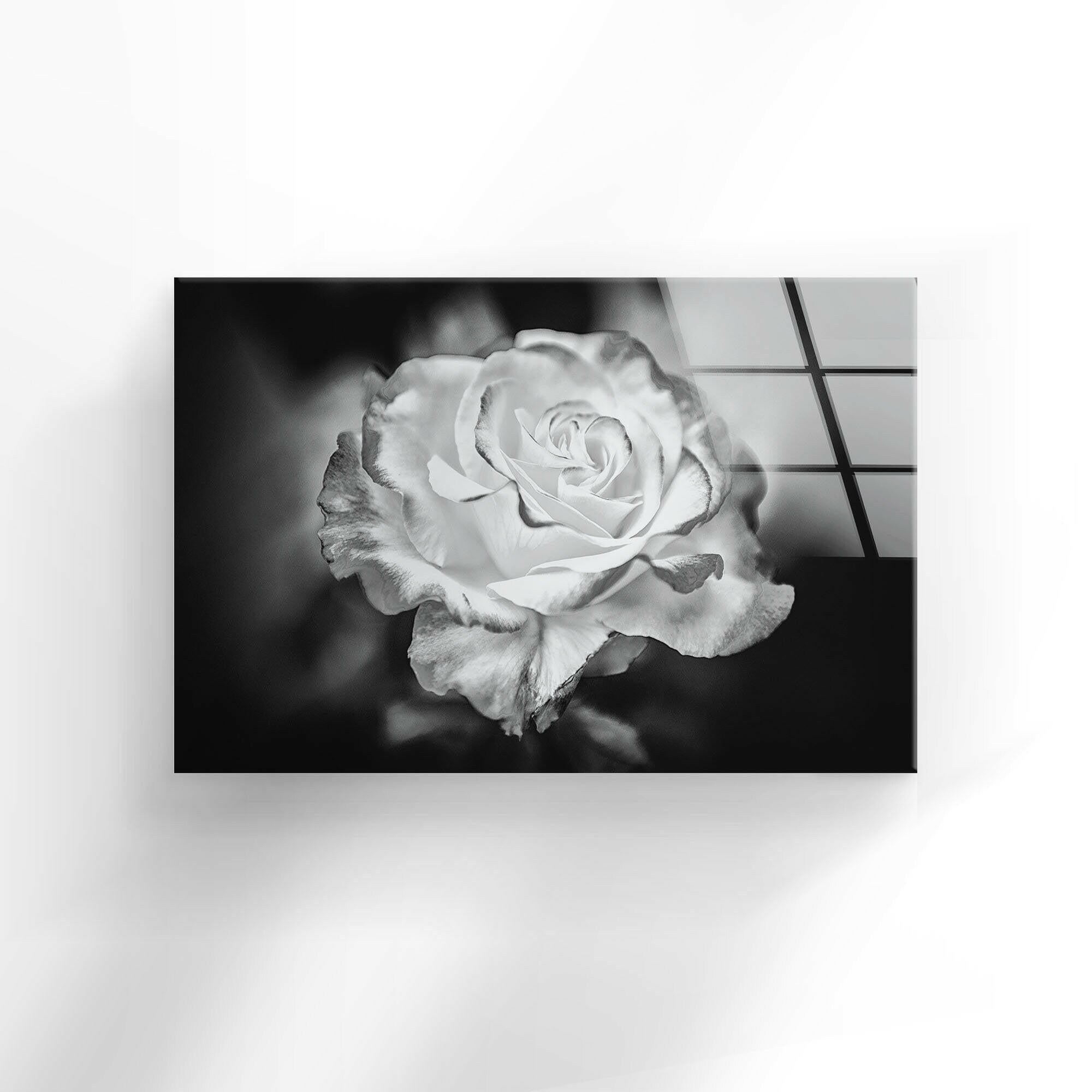 Elegant Black and White Rose Glass Wall Art - Modern Home Decor for Living Room, Bedroom & Office