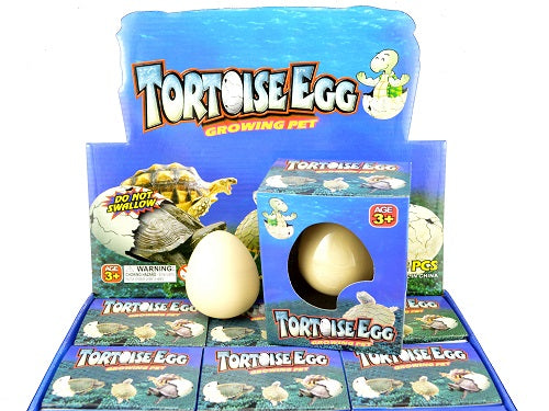 Hatching Pet Tortoise Egg - 5.5cm Realistic Growing Toy for Kids Educational Science Project & Reptile Lover Gift (Perfect for Classroom Activities, Birthday Presents & STEM Learning)