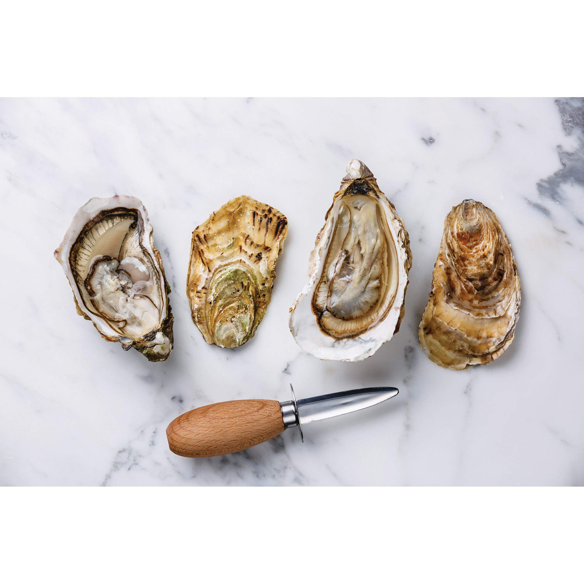 Premium Maine Lobster & Seafood Tools Set - Durable Stainless Steel Crackers, Picks & Shuckers for Crab, Clam & Oyster - Perfect for Home Cooking, Seafood Restaurants & Beachside Dining