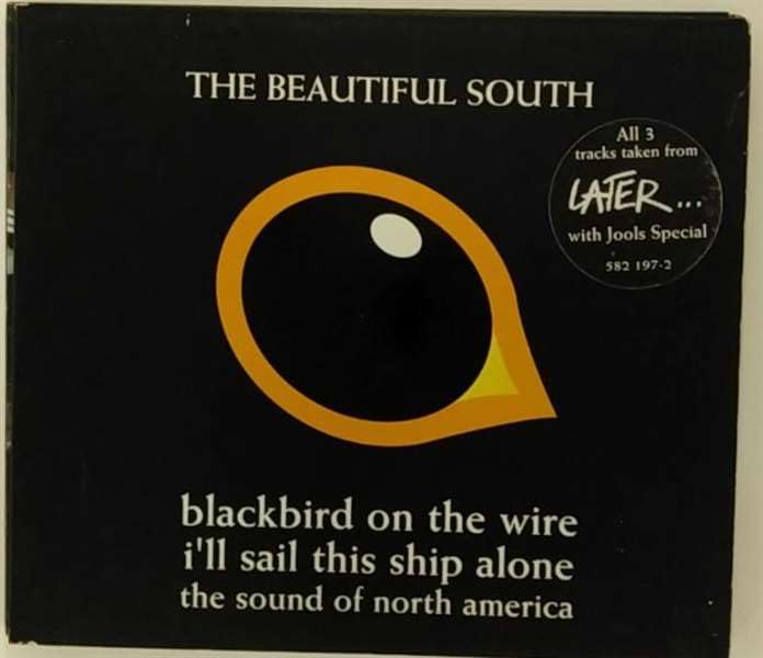 Blackbird on the Wire - Premium Home & Office Wall Art Decor - Perfect for Living Room, Bedroom, and Office Spaces