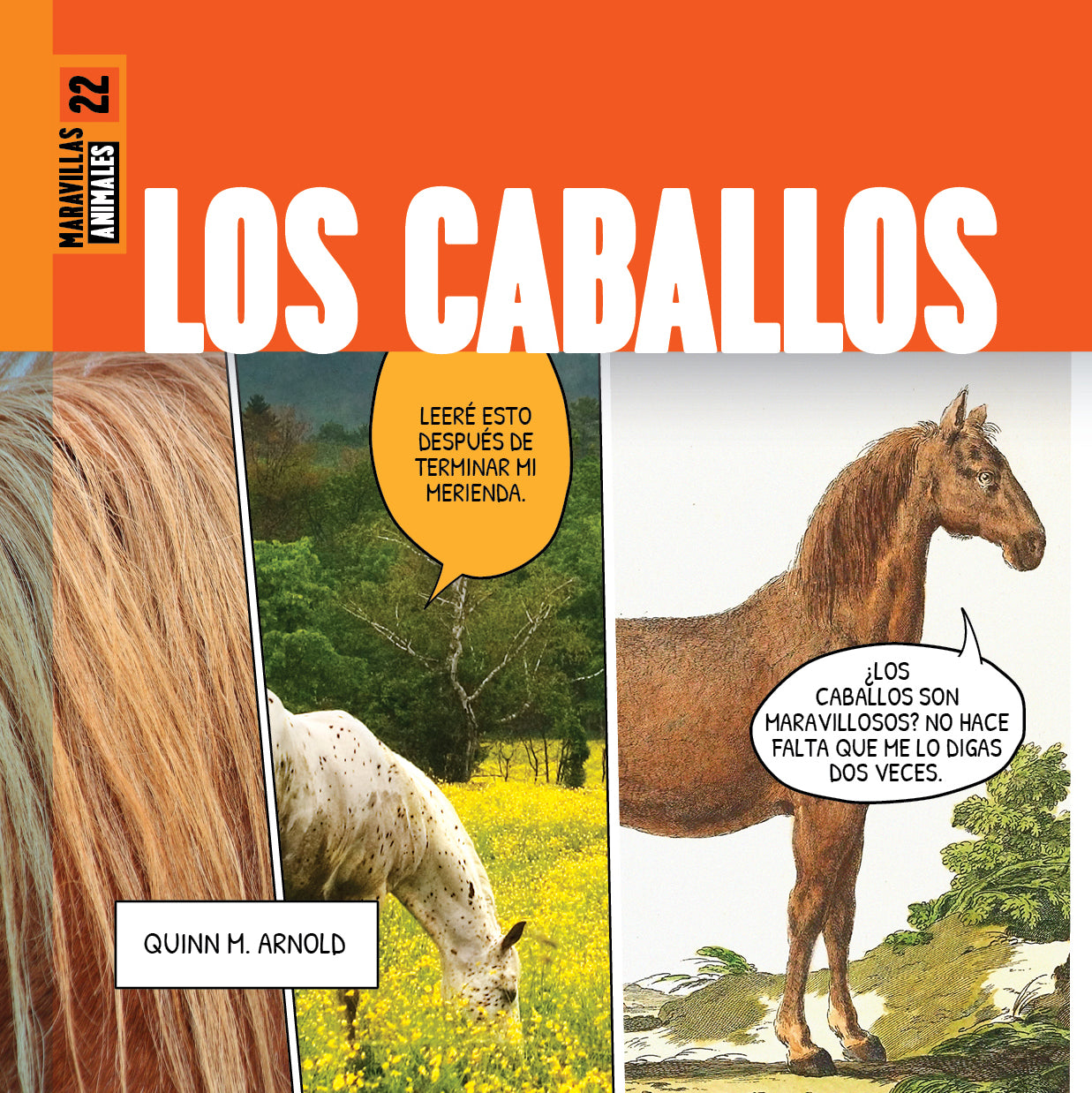 Los Caballos Maravillas - Beautiful Horse Figurines for Home Decor, Collectibles & Gifts | Perfect for Equestrian Lovers, Shelf Displays & Themed Parties