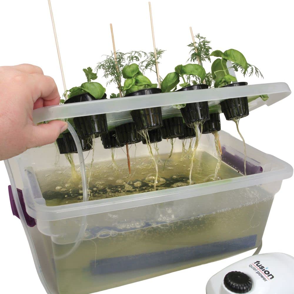 Smart Indoor Hydroponic Garden System - Visual Desktop Planter with Root Growth Tracking for Home, Office & Classroom | Grow Fresh Herbs, Veggies & Microgreens Year-Round