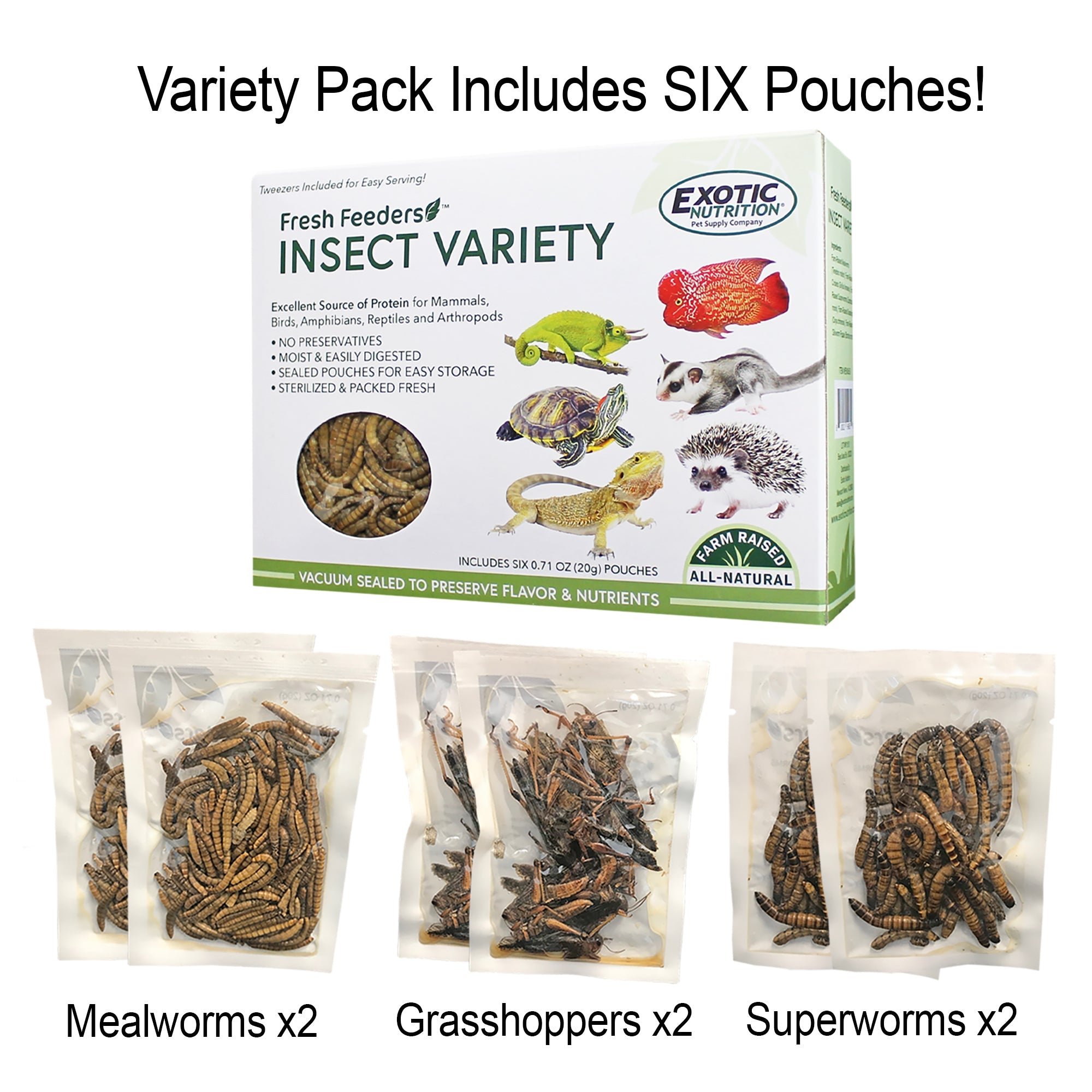 Fresh Feeders for Reptiles & Amphibians - Live Crickets, Worms & Insects - Perfect for Pet Lizards, Frogs & Turtles - High Protein Food for Healthy Growth & Nutrition
