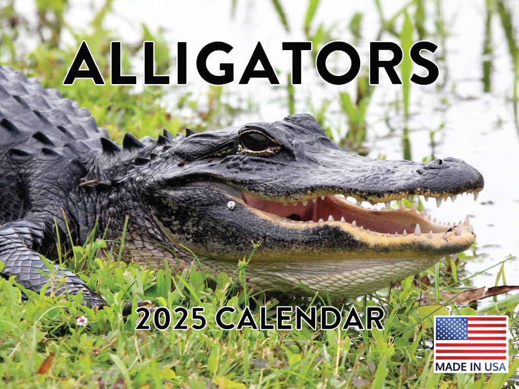 2025 Alligator Wall Calendar - 12 Month Large Print Planner | American Made | Perfect for Home, Office & Classroom Decor