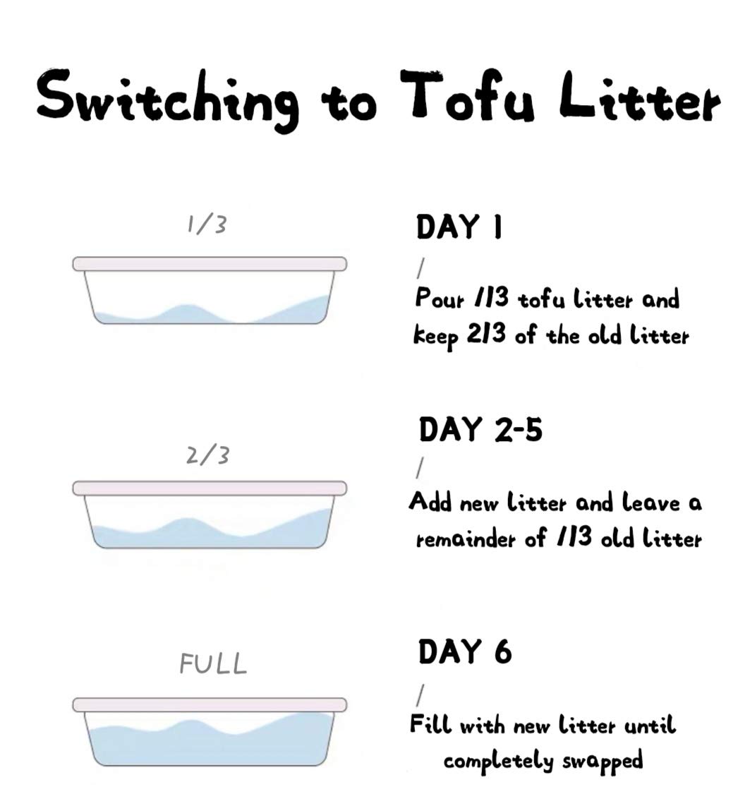 JUNAI Tofu Cat Litter 16 Packs (2.3kg x 16) - Natural Clumping, Flushable & Biodegradable Kitty Litter with Activated Carbon | Dust-Free, Lightweight & Superior Odor Control | Perfect for All Cat Litter Boxes | Ideal for Multi-Cat Homes & Eco-Conscious Pet Owners