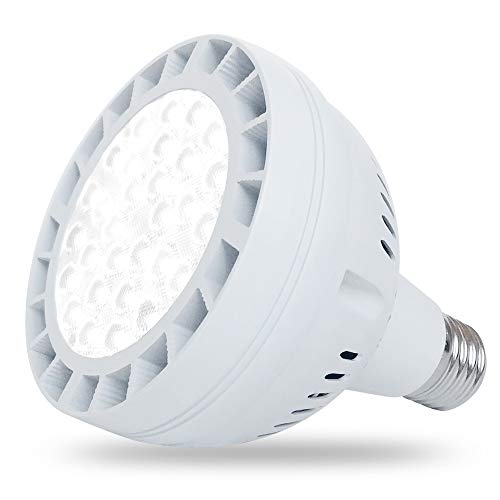 120V 50W